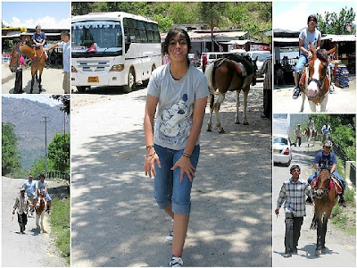 NATURE & TREKKING IN THE HILLS...the last Himalayan post! 41 Ramgarh40