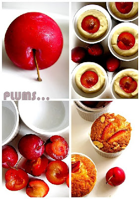 Brown Sugar Plum Cakes ... sweet summer dreams! 27 plum+brown+sugar+cake,ab+in+5+sandwich+bread7