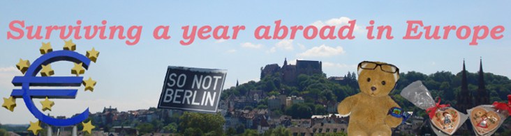 Surviving a year abroad in Europe