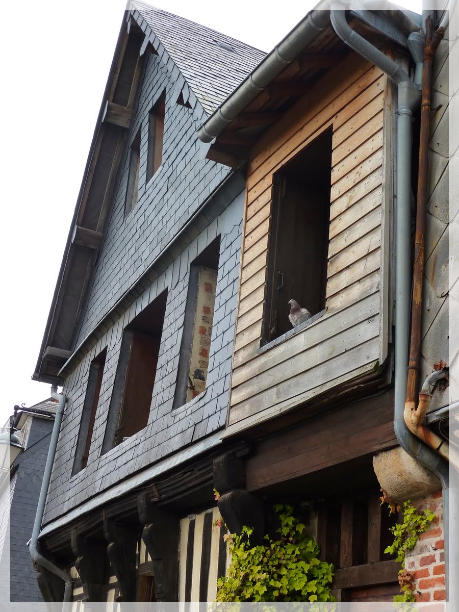 Photograff: Avoir pignon sur rue