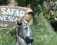 Foto saya