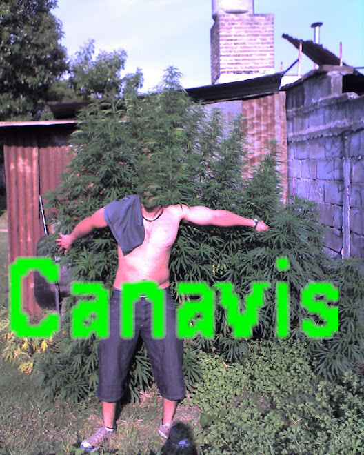 El Hombre Kannabis