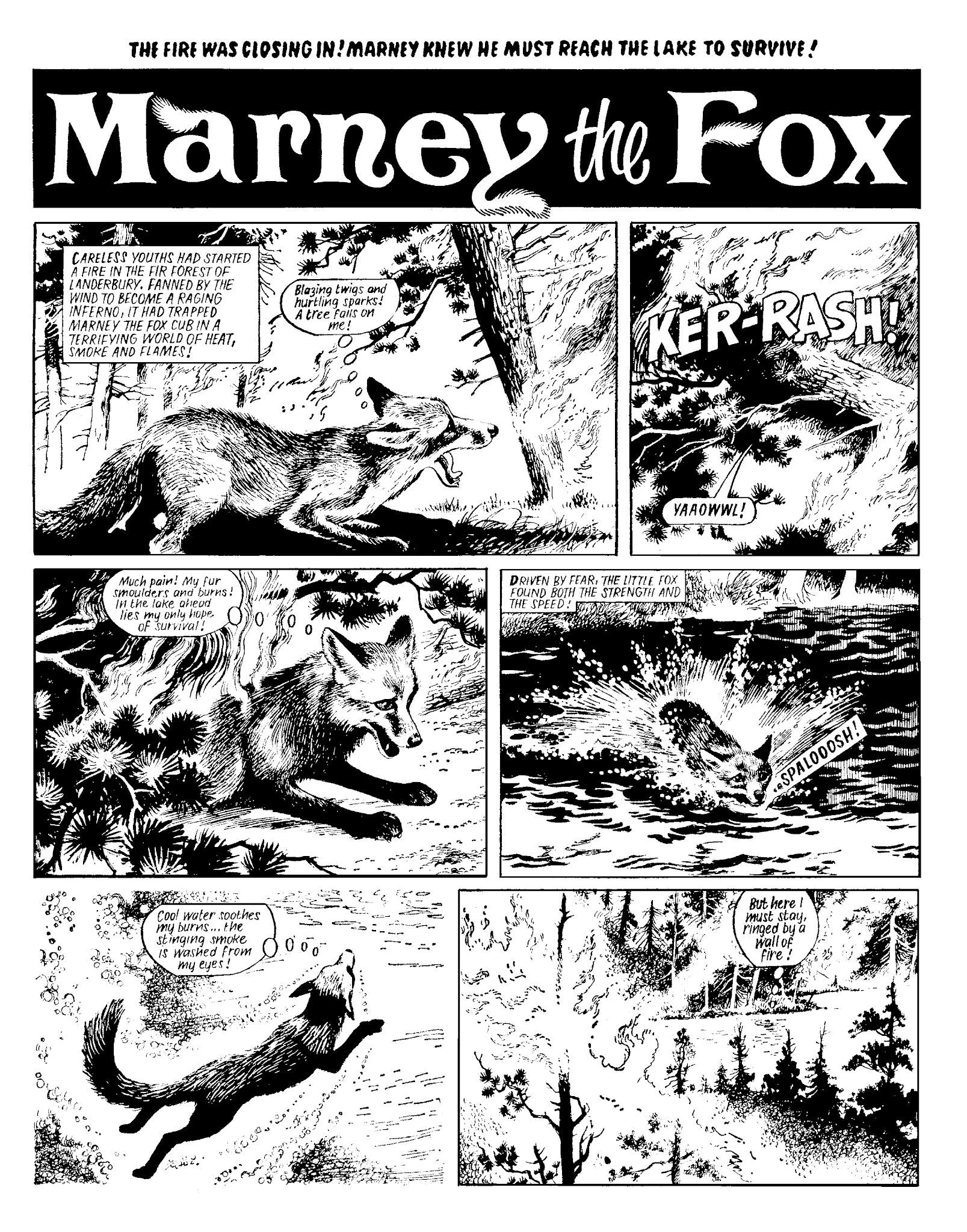 Read online Marney the Fox comic -  Issue # TPB (Part 2) - 10