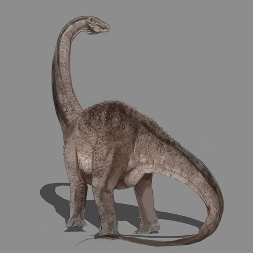 'Vanessa Pimentel• Os Dez maiores Dinossauros Brasileiros. ( Biologia)