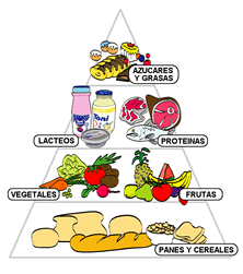 Nutricion y dietetica wikipedia