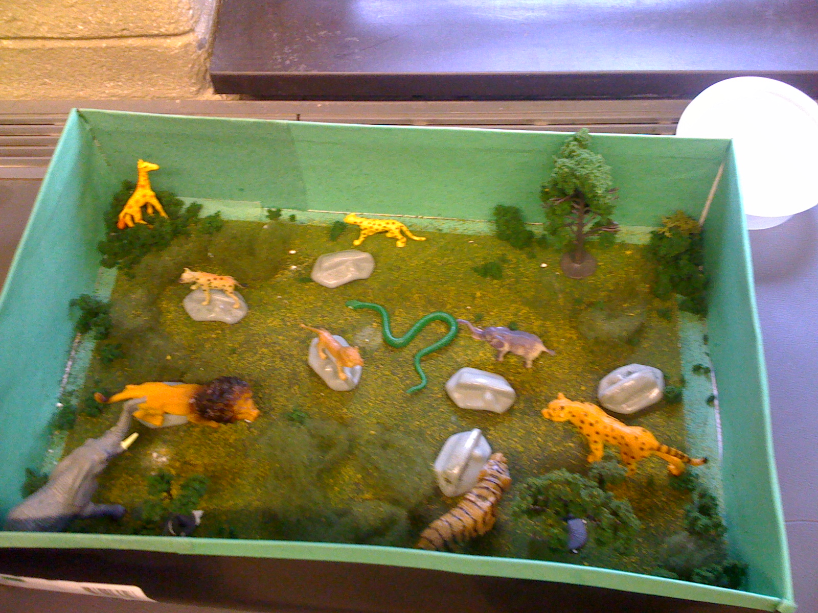 Grasslands Biome Projects For Kids