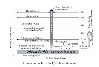 QUESTOES DE ENEM - MATEMÁTICA Origemdaterra