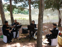 COMPLEJO LOS ROSALES - ELDA