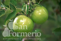 SAN FORMERIO SRL