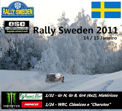 Rally da Suecia 2011