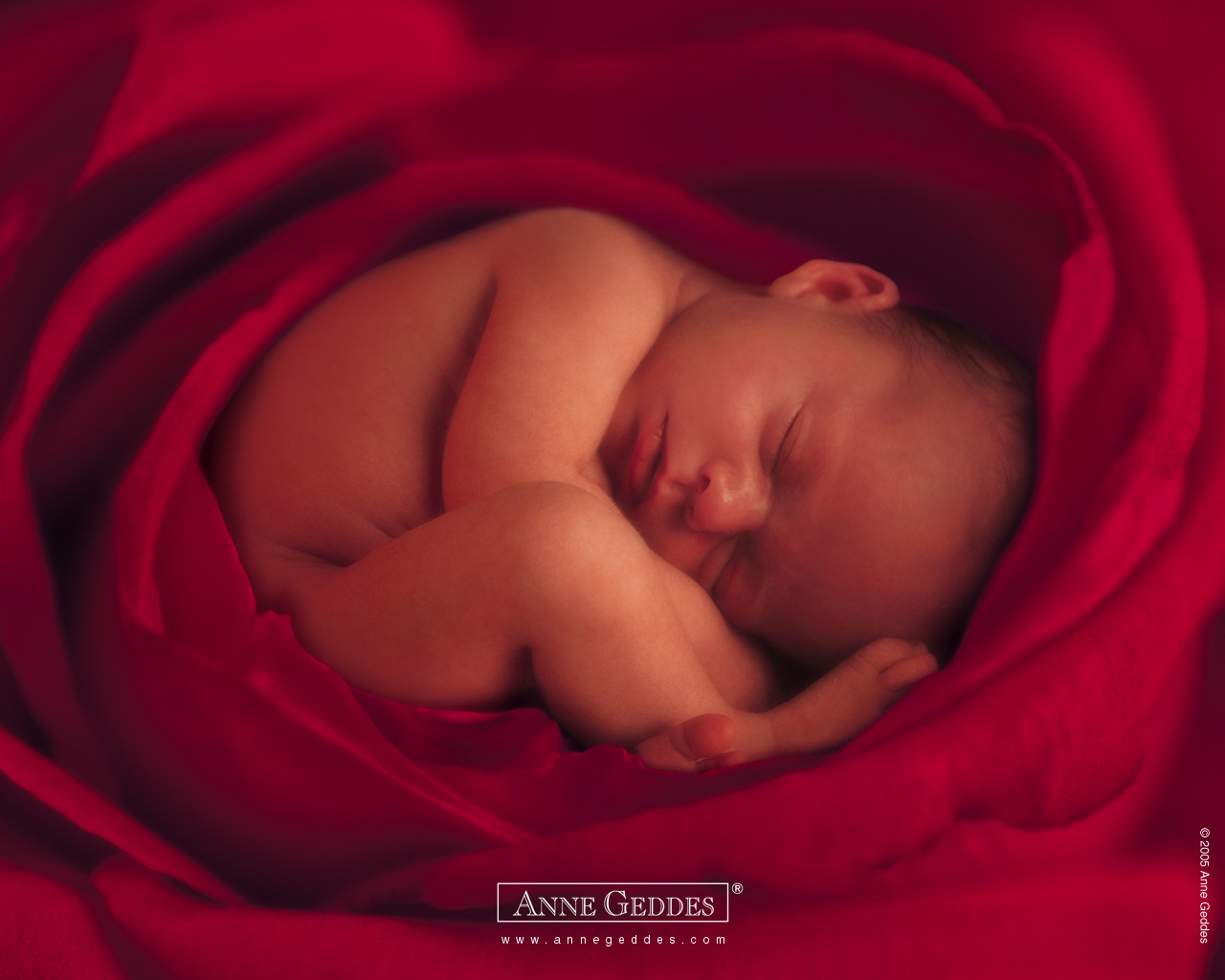 anne geddes immagini da scaricare