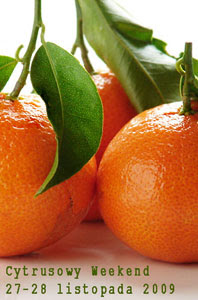 Cynamonowo-pomarańczowy crème brûlée