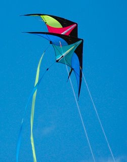 [kite-2kites.jpg]