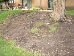 5/11/10 BEFORE