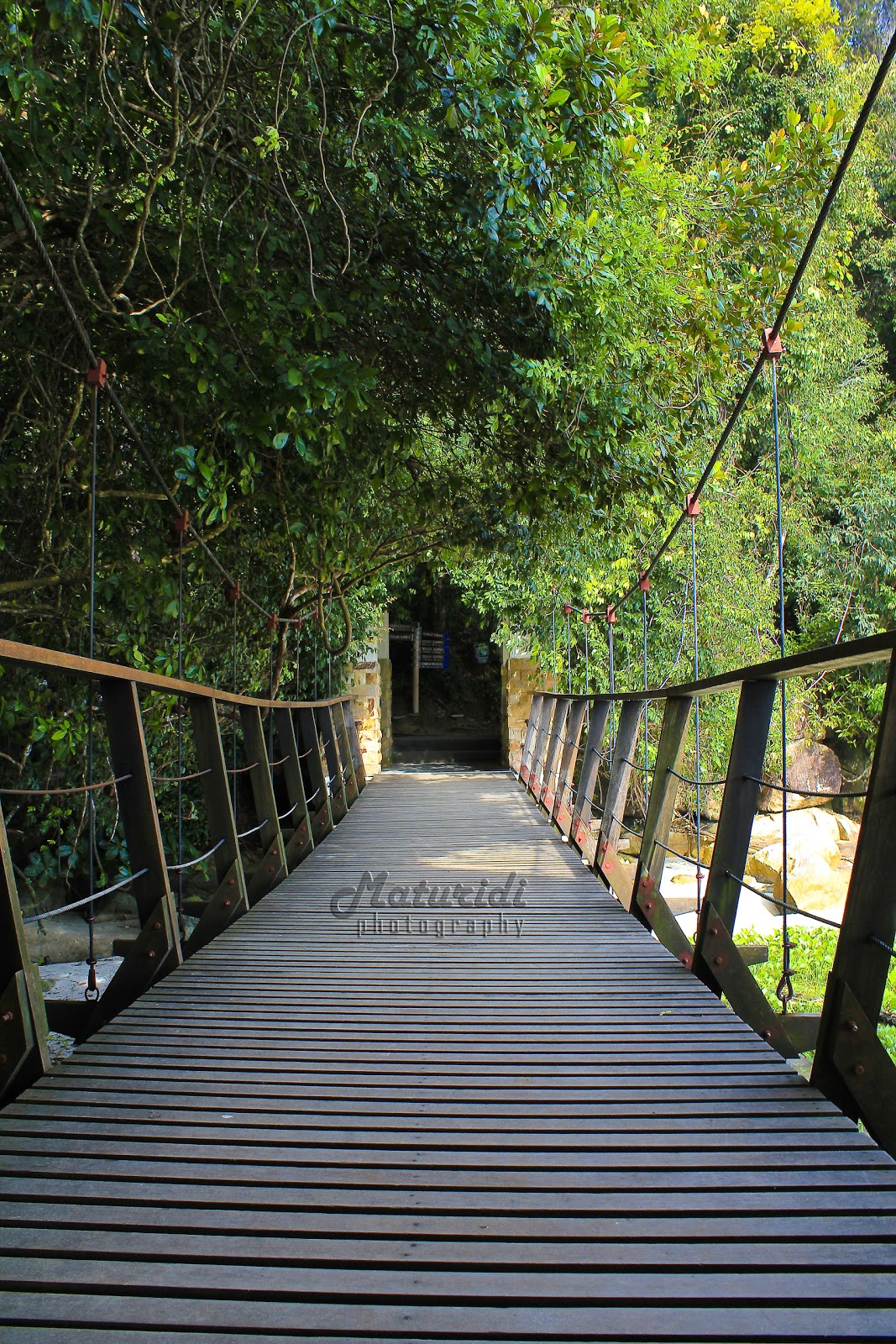 The Shoot : Maturidi Photography: Taman Negara Pulau Pinang