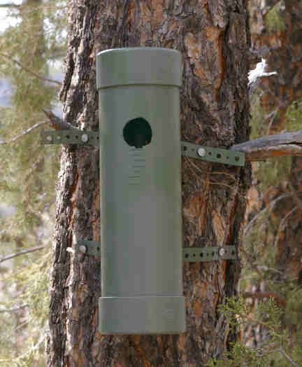 Southern Rockies Nature Blog Another Bird House Project