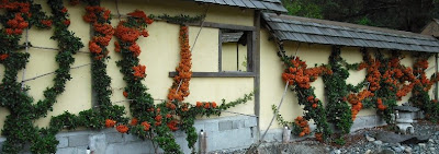 zen garden back wall