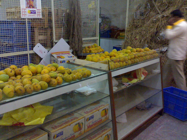 alphonso mango display