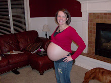28 week twin belly