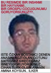 FAREMI,MAYMUNMU IKISININ KARISIMIMI?