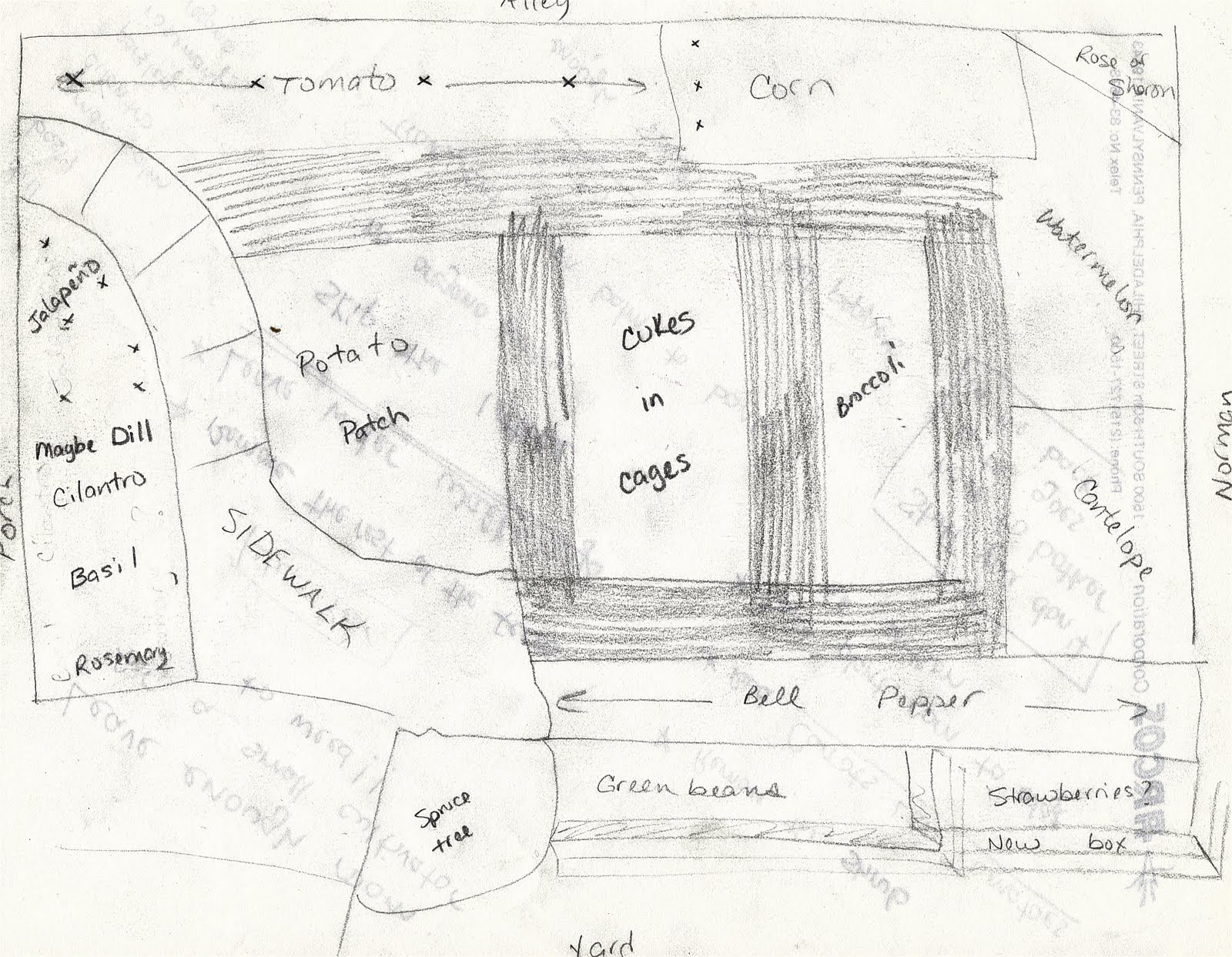 The Stefo Crew: August 2010