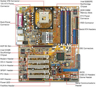 Computer Processor/Peripherals-Varieties of chips of computer as well ...