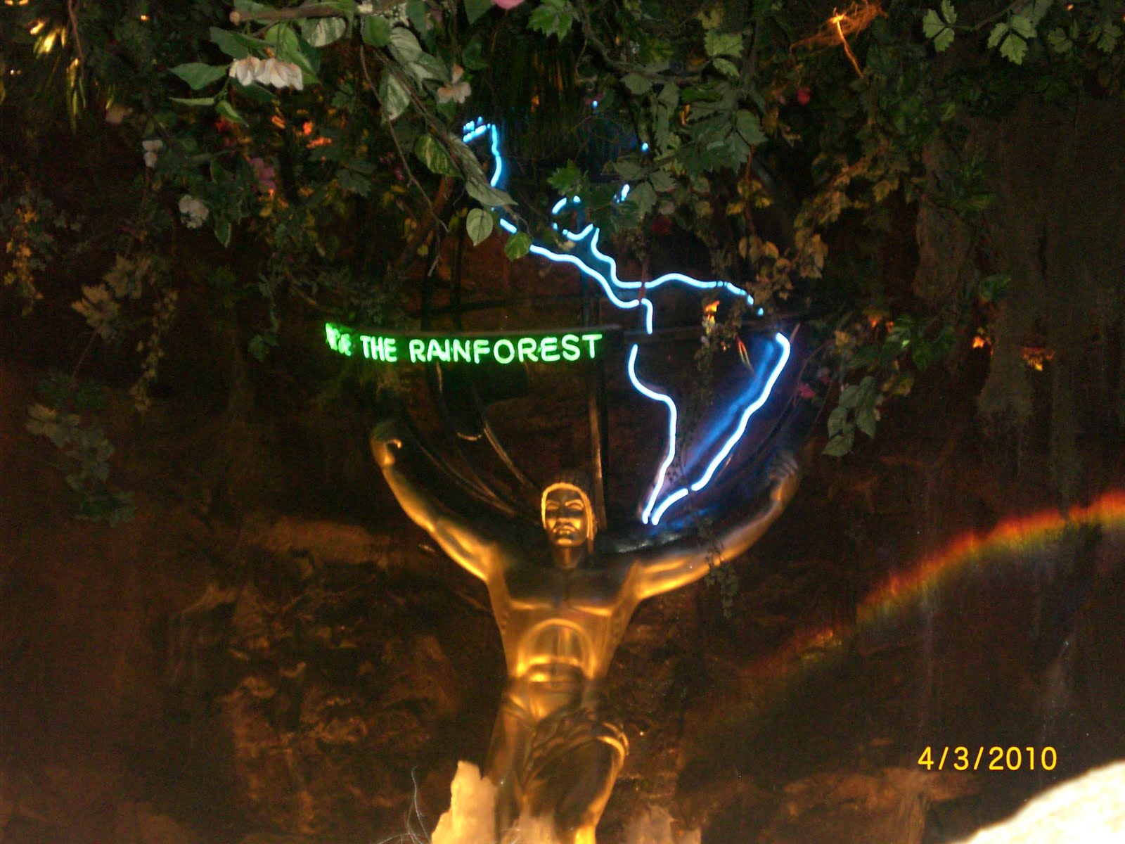 Visiting California: Rainforest Cafe