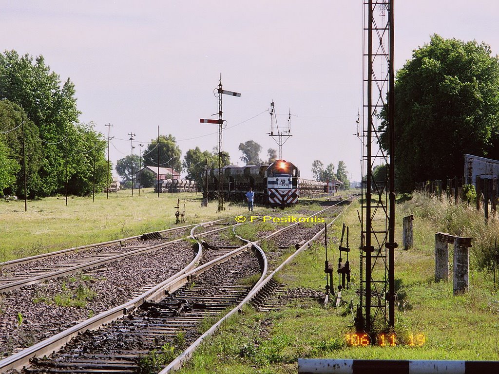 [9002+Las+Flores+1.jpg]