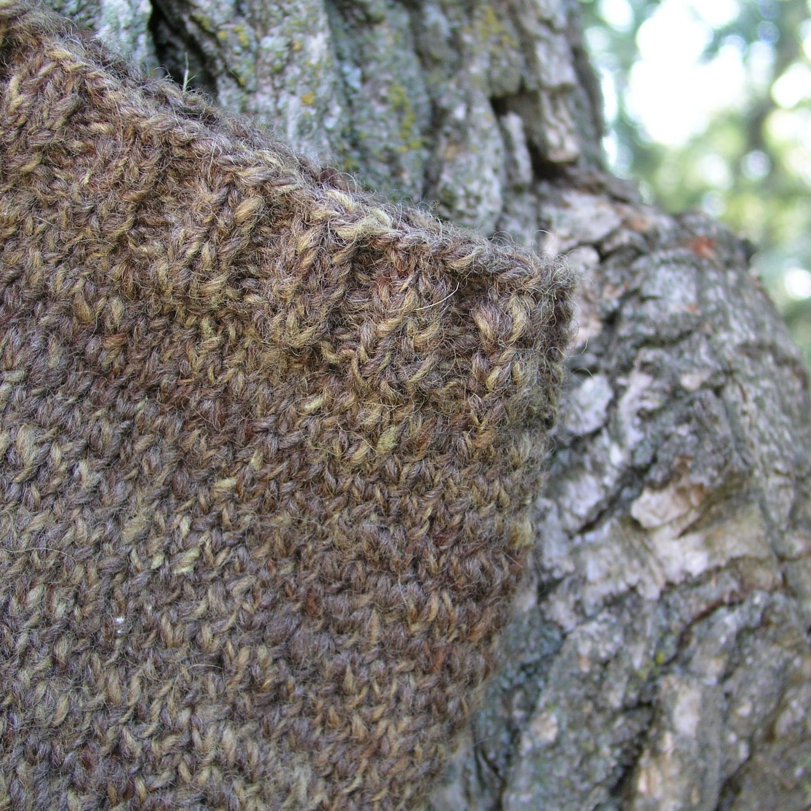 [Knitting+with+tree+cropped.jpg]