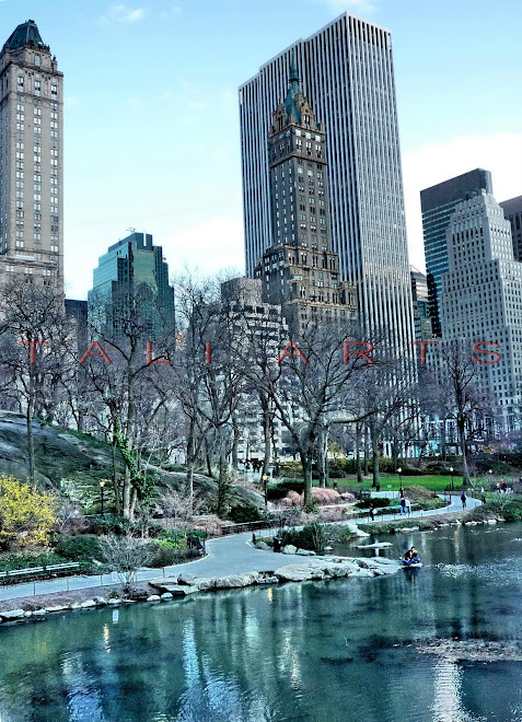 Cental Park at 5th Ave, NYC