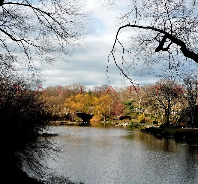 Central Park Lake, NYC