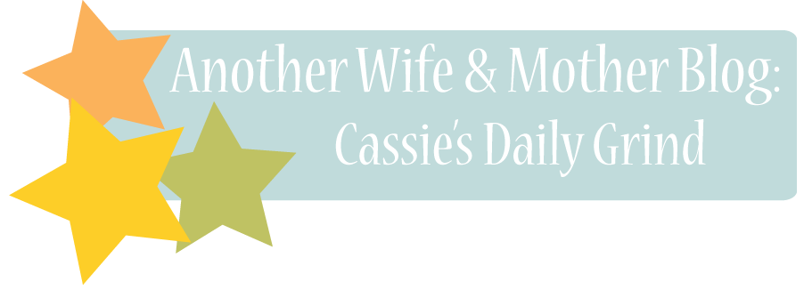 Another Wife & Mother Blog: Cassie's Daily Grind