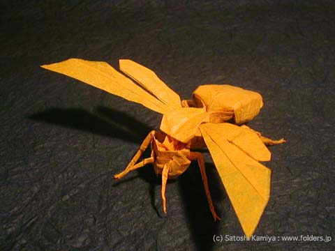 Wasp 2.6 - Kamiya Satoshi