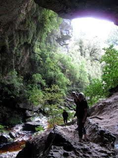 Oparara Arch