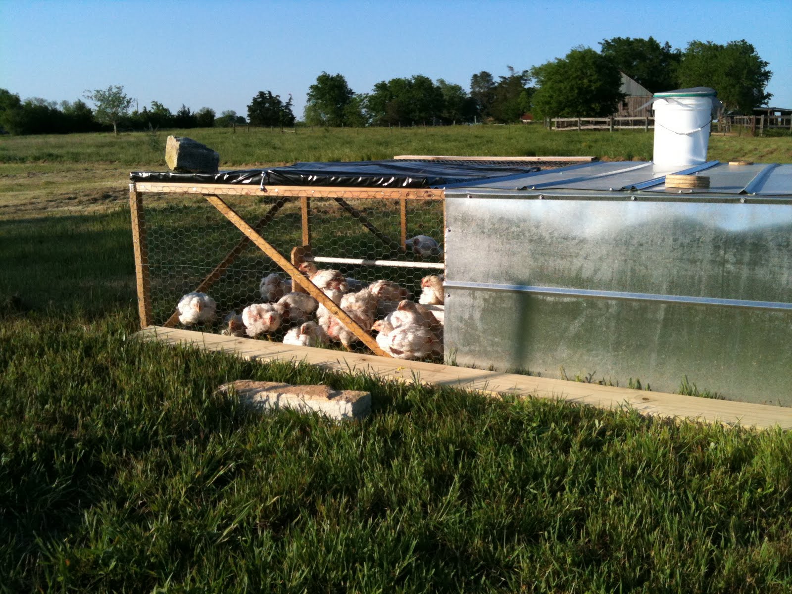 The chicken project Chicken Tractors