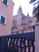 Carrers de Palma