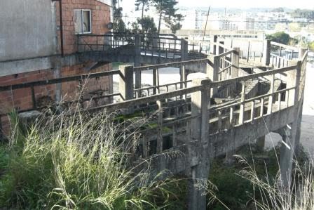 [13-12-2009+(26).JPG]