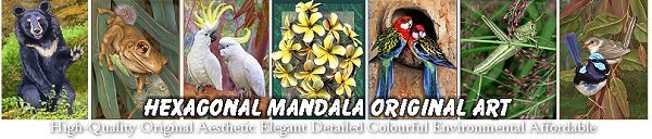 Hexagonal Mandala Art Journal by Diavma