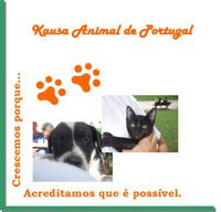 Associação Kausa Animal de Portugal