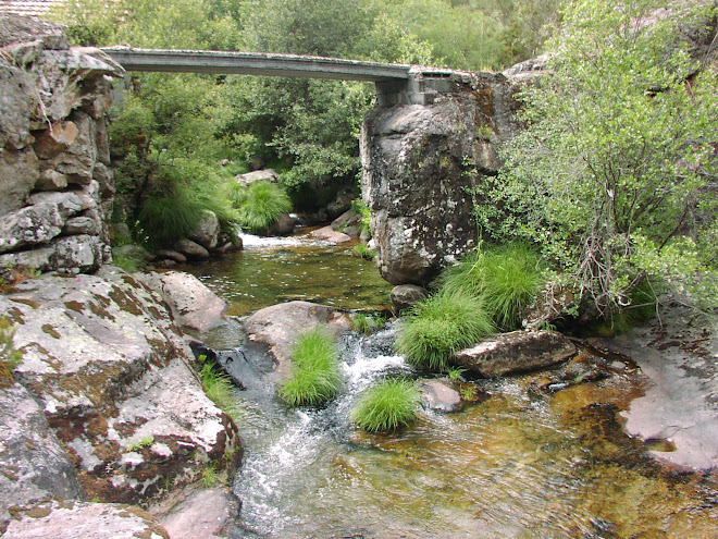 A nosa ponte