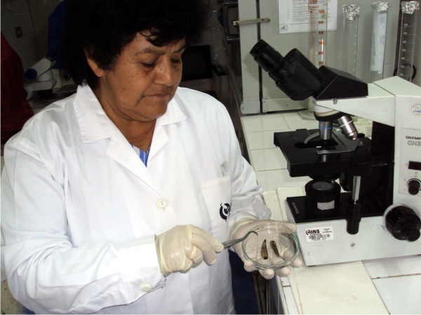 María Beltrán Fabián, una destacada científica cajabambina