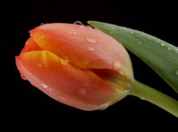 Recibo su visita con mucho cariño