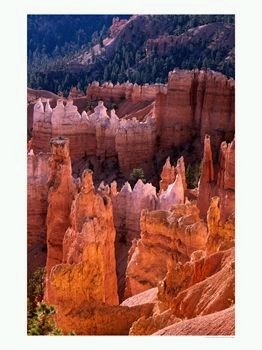 [BryceCanyon.bmp]