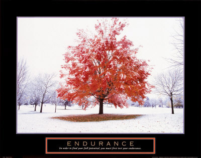 [Endurance2]