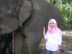 Kuala Gandah Elephant Sanctuary