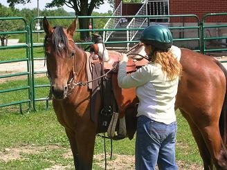 [MochaStartFlexCloseUp.JPG]