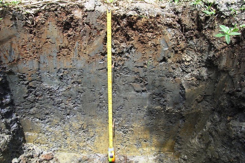 Soil and Environment Soil excursion to Southern Leyte, Philippines