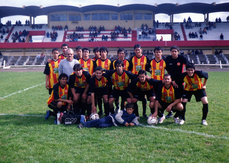 Primera 2007