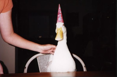 http://2.bp.blogspot.com/_6EJOi2sGreQ/SoyK5rw9ZjI/AAAAAAAAAMM/8VnCDGvUpGg/s400/DuckParty.jpg