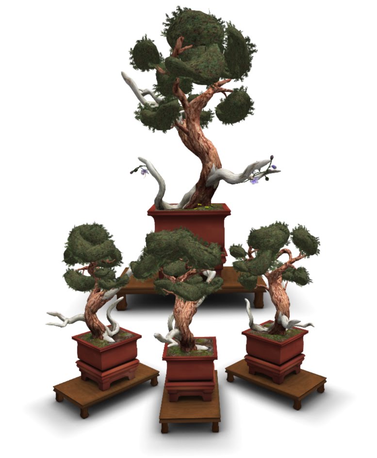 Arctic Greenhouse Deadwood Juniper Bonsai